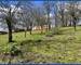 Belle maison sur sous-sol complet sur un grand terrain. - be54731a-255e-4c33-a764-4a89d6eedbac