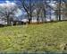 Belle maison sur sous-sol complet sur un grand terrain. - 005f6f6f-25d0-49de-b87a-c64b667df9d4