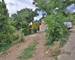 Terrain Constructible - 260m2 - VUE Degagee - 0baba0b8-cd68-42d5-b1a8-8385647e50a0