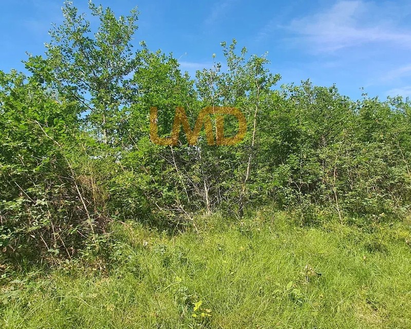 Terrain de 1428 m² - 6ce3519f-6a29-4248-ba61-1d0b0bc2a28a
