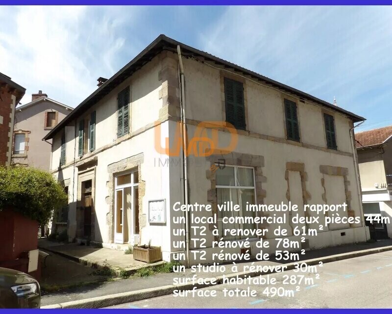 Immeuble de rapport - d47de1be-763b-4b4a-954e-2d702af5926c