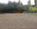 Terrain à Vendre à Lignan-sur-Orb - beebfd3f-3d87-41e7-be29-b58d1520c782