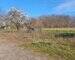 Terrain à bâtir à Villemur-sur-Tarn - 7fea46b6-dd8d-4dce-9a08-be0a25e2fb5b