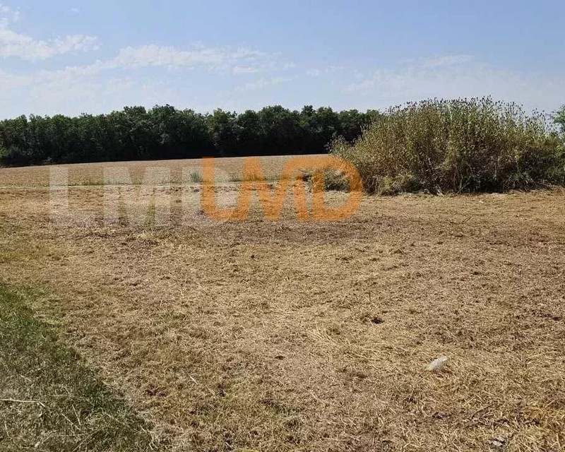 Terrain à vendre à Saint-Julien-de-l'Escap - 5e3ba5c4-04ff-4d34-a3e8-83f4efbd11c7