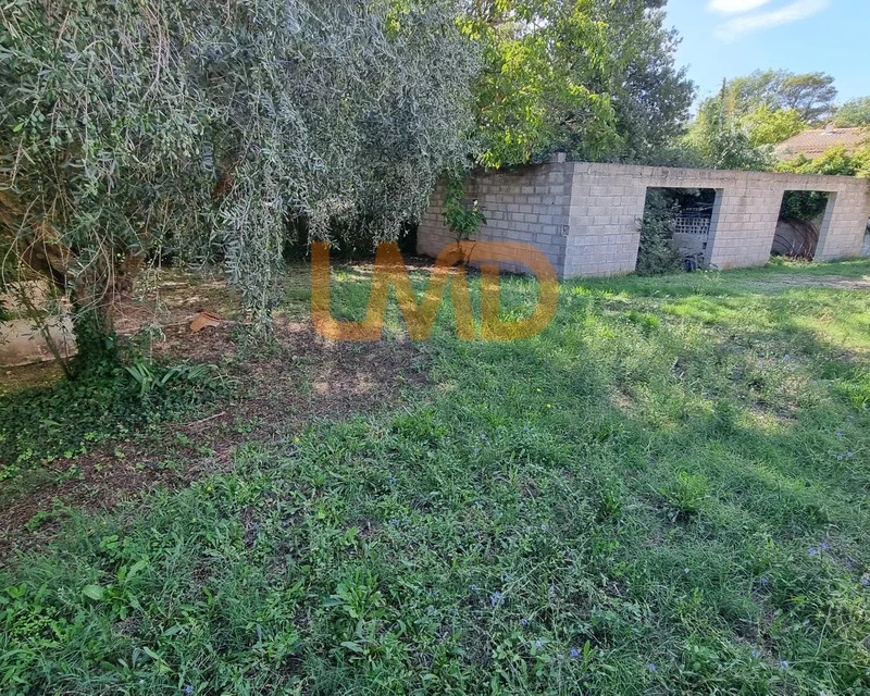 LA Motte (83920)  - Calme - b3e8af4a-3329-4f17-8445-ffec92053db6