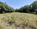 Terrain Constructible - Calme - Nature - Cessenon-sur-Orb - Hameau de Lugné - proche Cessenon-sur-orb