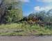 Terrain Constructible - Calme - Nature - Cessenon-SUR-ORB - 68553981-f262-416a-8bfe-d6ea07652a2c