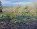 Terrain Constructible - Calme - Nature - Cessenon-SUR-ORB - fe909568-c6f3-4095-941c-a672b14bef38