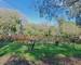 Terrain Constructible - Calme - Nature - Cessenon-SUR-ORB - 81b38b89-78bc-43e4-954e-851dbead1724