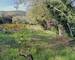 Terrain Constructible - Calme - Nature - Cessenon-SUR-ORB - a8642a0d-405b-4b21-8d38-9535a27e8667