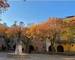 Maison DE Maitre A Renover - Centre Village - Terrasse - Garage - b80c2f6a-afa5-4a4d-a5d9-9838718cb5f6