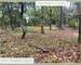 Lorgues : Terrain constructible, emplacement idéal ! - c52b0a37-adfe-40c8-9df6-21d42cd43de6