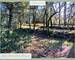 Lorgues : Terrain constructible, emplacement idéal ! - 3bf96597-df5b-49df-a823-099483b4d5f3