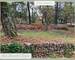 Lorgues : Terrain constructible, emplacement idéal ! - 70d939b8-a11a-440f-8a77-12f81ed91eb7