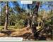 Lorgues : Terrain constructible, emplacement idéal ! - 29768485-eee3-4f7e-a61b-2208c15050cb