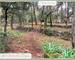 Lorgues : Terrain constructible, emplacement idéal ! - c911e88b-a1e9-410a-8eea-c5f07e038594