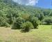 4 logements avec piscine en bordure de rivière + 2ha de bois - 88d64105-b560-411f-8337-ce02331a7f14