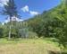 4 logements avec piscine en bordure de rivière + 2ha de bois - fdd2ac82-ee82-4fb5-b02f-48885ff17cc1