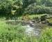 4 logements avec piscine en bordure de rivière + 2ha de bois - 582df222-4eaa-4773-8ca7-331db06649a8
