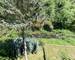 4 logements avec piscine en bordure de rivière + 2ha de bois - c9ff8176-eeef-46ef-9232-67b5a2941f83