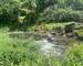 4 logements avec piscine en bordure de rivière + 2ha de bois - f54b6505-2fac-4a98-86f5-e01a6faa1500