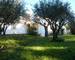 Belle Maison AU Calme Proche Toutes CommoditÉS - 4aba88b3-e04f-4595-bab9-98ac58befa9e