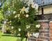 gîte de charme 7 chambres de 250m2 - 3592f6af-b97e-4ba1-b4be-173592b195a5