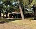 Propriété - Proche Beauval- Location Saisonnière - Piscine - ffe2771e-1459-44f9-9182-ae1317a0927e
