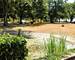 Propriété - Proche Beauval- Location Saisonnière - Piscine - fa06c872-d2f9-4574-ab59-5f61465420f7