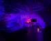 Love- Room à Corny-Sur-Moselle  - 3796db93-7381-4d02-8290-a532ae7dc590