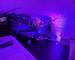 Love- Room à Corny-Sur-Moselle  - 1a0c986f-5ec5-493a-ad2a-1a1e5ff26b21