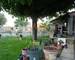 Maison Plain Pied Quartier Calme Proche Commodités - 9a4f0513-b74b-49b9-870e-03b2be478ce6