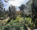Villa archi plain pied avec 2 Studios - Terrain Boise - Piscine - 1e44a7c7-c1b4-41a6-a72a-ca4c4d0ebb2e