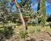 Villa archi plain pied avec 2 Studios - Terrain Boise - Piscine - 408c93ec-c10b-4416-93bf-8d8391e3ddee