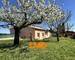 Villa familliale 5 chambres au calme avec piscine  - 11f16b1f-c3ae-42d0-b6e5-8baec214e64a