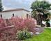Maison plain pied standing - Excellent Etat - Piscine Pool House  - 44631b5c-2a77-4195-b1de-bd06107fc427