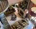 Propriete Dans UN Univers Bucolique - Img 5245