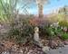 Maison quartier saint-michel  - c146c4b9-cecc-4538-b5aa-3f2f77fbf95a