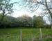 ANCIEN CORPS DE FERME - GRAND TERRAIN -DÉPENDANCE - CACHET - - 4ffe5760-d581-4341-8db8-666946d7af89