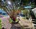Maison + Terrasse + Lumineux + Calme + Piscine + Jardin  - 50da307e-ce51-4a9d-87eb-4bde05f59565