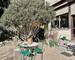 Maison + Terrasse + Lumineux + Calme + Piscine + Jardin  - 60fab199-4956-433c-ba8e-5af2c803d207