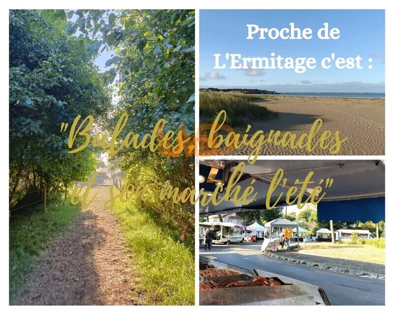 Terrain constructible Saint Michel Chef-Cehf - 54839cf2-7de3-41ac-ab77-a679130af372