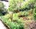 Maison en pierre authentique à Aubin - 95bd21bc-527e-42c1-9eaa-609c4e7bb79a