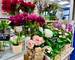 Etal Halles DE Nimes + ÉCusson +Commerce Angle DE RUE - 20a96ab3-50d8-43bb-89ce-aa7ceafc63a9