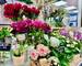 Etal Halles DE Nimes + ÉCusson +Commerce Angle DE RUE - 23f5ede3-b123-4a92-8f51-8926248d8e65