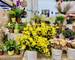 Etal Halles DE Nimes + ÉCusson +Commerce Angle DE RUE - ad55605d-8fda-43b2-8862-9e574ed5a287