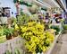 Etal Halles DE Nimes + ÉCusson +Commerce Angle DE RUE - c55a37c1-ca75-47f0-8b5e-7ca391976d7f