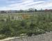 Terrain constructible à Rieux Volvestre Lot 8 et 9 - d22a8953-95bb-49fd-a109-a0e66391690d