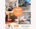 Magnifique Appartement - fef14112-2ecb-4736-a964-a563524feff9