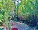 Colline Nord DE Nimes, Lumineuse, Calme, Terrasse, Jardin,Garage - 82d5d35d-afc3-4e7f-9a1f-7826cb55eace